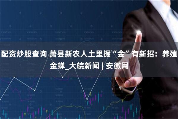 配资炒股查询 萧县新农人土里掘“金”有新招：养殖金蝉_大皖新闻 | 安徽网