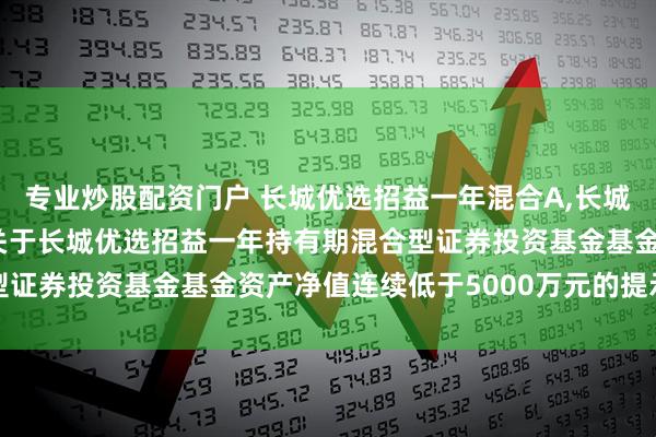 专业炒股配资门户 长城优选招益一年混合A,长城优选招益一年混合C: 关于长城优选招益一年持有期混合型证券投资基金基金资产净值连续低于5000万元的提示性公告