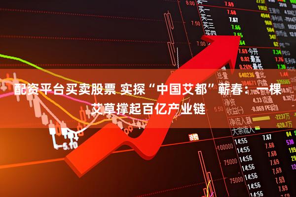 配资平台买卖股票 实探“中国艾都”蕲春：一棵艾草撑起百亿产业链