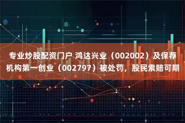 专业炒股配资门户 鸿达兴业（002002）及保荐机构第一创业（002797）被处罚，股民索赔可期